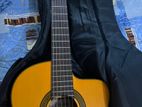 Takamine Guitar