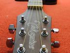 TAKAMINE GD 11 MCE - NS G SERIES