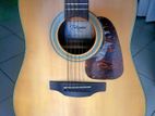 Takamine GD10-NS (G10 Series) Acoustic Guitar