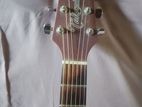 Takamine GD11 Semi-Acoustic Guitar