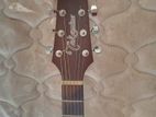 Takamine GD11 Semi - Acoustic Guitar