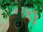 Takamine Gd11 Mce Semi-Acoustic Guitar