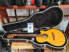 Takamine Npt110bn Classical Guitar Japan