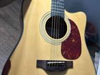 Takeminsen Acoustic Guitar