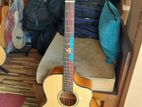 Takla M580 Solid Top Guitar