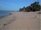 Land for Sale -Talaimannar, Mannar