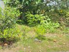 Talawatugoda – 10 Perches Bare Land