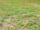 ☆ Talawatugoda Bear Land for Sale ( RS-315)