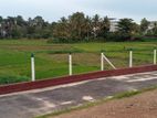 Talawatugoda Hokandara Paddyfield Facing Land for Sale