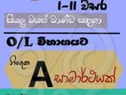 Tamil Language