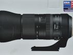 Tamron 150-600mm G2 Lens