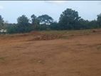 Tangalle.- 345 Perches Land for Sale (SSPL-402)