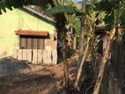 Tangalle Dickewella 45 Perches of Land with a House for Sale