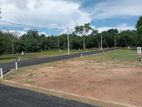 Tangalle Land For Sale Hambanthota Tangalla Road 40M