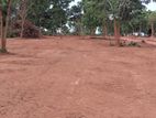 Tangalle Rekawa, Most Valuable Land Plots For Sale In Tourism Area