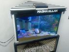 Fish Tank With