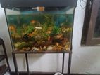 Tank with Fish Oxgen Motor Stand