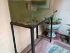 Fish Tank with Giant Gourami