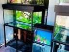 Fish Tank Lot