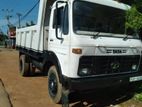 Tata 1516 Tipper 2010