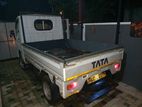 Tata Dimo Batta 2006