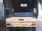 Tata Dimo Batta 2008