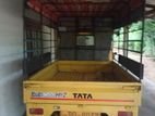 Tata 2011