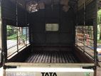 Tata Dimo Batta 2015