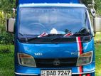 Tata Dimo Batta 2015
