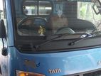 Tata Dimo Batta Ace ht2 2017