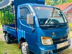 Tata Dimo Batta Ex 2014
