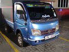 Tata Dimo Batta Ex2 2013
