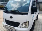 Tata Dimo Lokka Super ACE Mint 2019