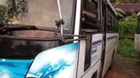 Tata Marcopolo 2010