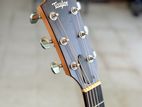 Taylor Academy 12e LTD Limited - Edition Electric Acoustic