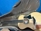 Taylor Acoustic Guitar