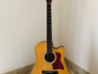 Taylor Guitar with Casing and Stand