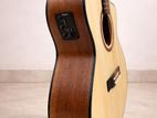 Tayste Guitar
