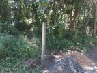 ⭕️ (TDM127) 32 perch Land for Sale in Pilawala Kandy