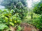 (TDM129) 10 perch Bare Land for Sale in Kothalawala Malabe