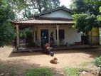 Tea -Cinamon Land with House for Sale in Galle | Elpitiya