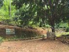 Tea Estate 20 Acres Land for Sale - Matale