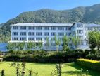 Tea Estate with Factory for Sale in Badulla