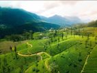 Tea Factory for Sale – Nuwara Eliya (EM1505)