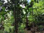 Land for Sale Elpitiya