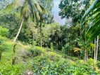 Tea Land for Sale පැල්මඩුල්ල