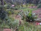 Tea Land for sale in Haputale