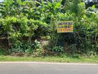 Tea land for sale in kotapola