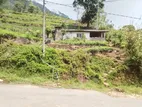 Tea Land for Sale in Rakwana Rathnapura
