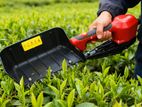 Tea Picking Machine ( U.T.C Brand)